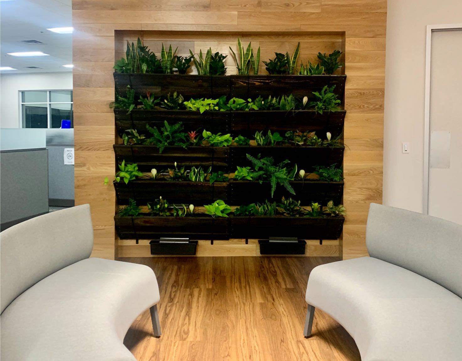 A waiting room with two sofas and a wall of succulent plants.